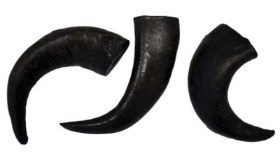 FRESH Asta de búfalo