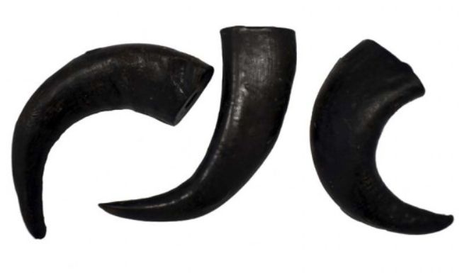 FRESH Asta de búfalo