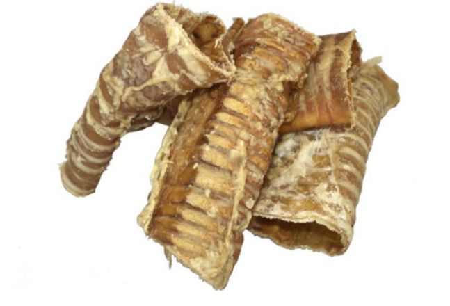 FRESH Tráquea de búfalo