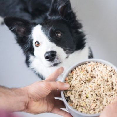 Cocinada Perro