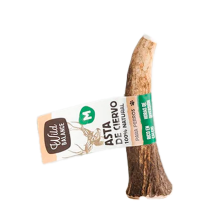 WILD BALANCE Asta de ciervo