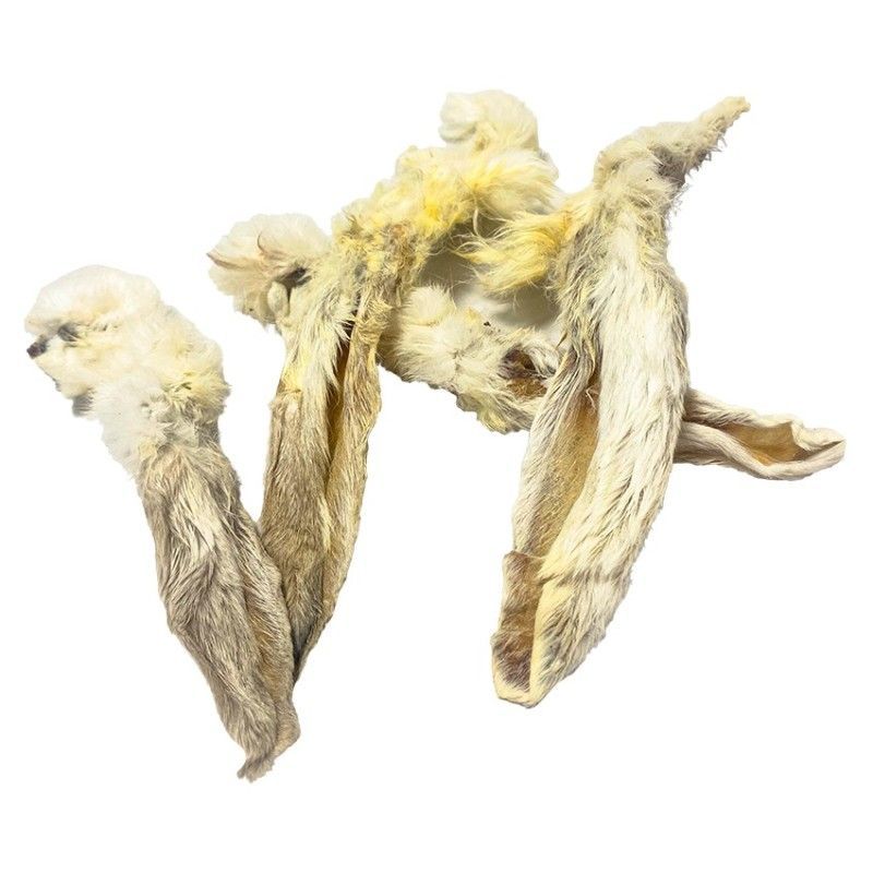 SQUEAKY Oreja de conejo