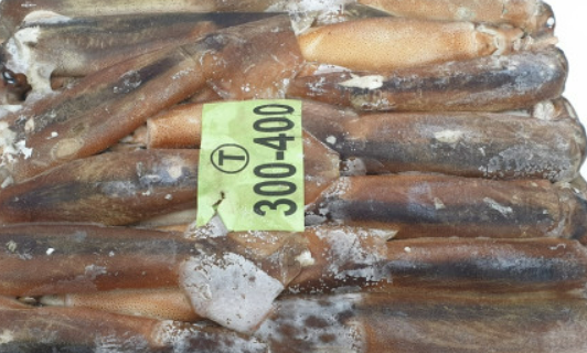 냉동 아르헨티나 오징어 300/400 14.5KG