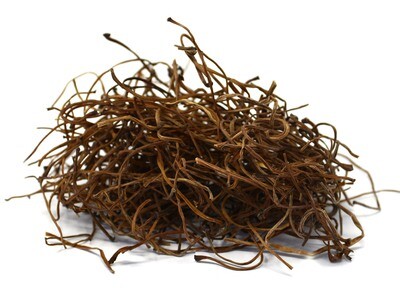 건 고구마순 10KG