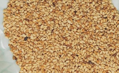 Sesame Seeds 참깨 50LB