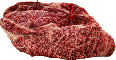 Chilled Excel Chuck Flat 살치살