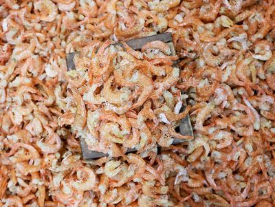 Richbay 건 새우 Dried Prawn 10KG