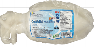 Searay Cuttlefish 1-2 VP 갑 오징어 x 14