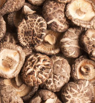 AMT Dried Shiitake Mushrooms 말린 표고 버섯 10KG