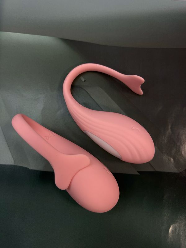 Delfín Rosa ✨