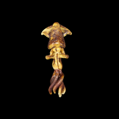 Tony Kazy (CO) Squid Skull Pendant