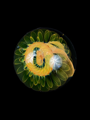 FL Heat - Shaffer Tek Glass - Space Flower Marble