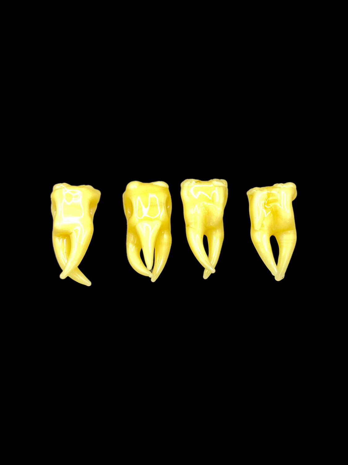 Obi Wook (DE) - Tooth Pendants
