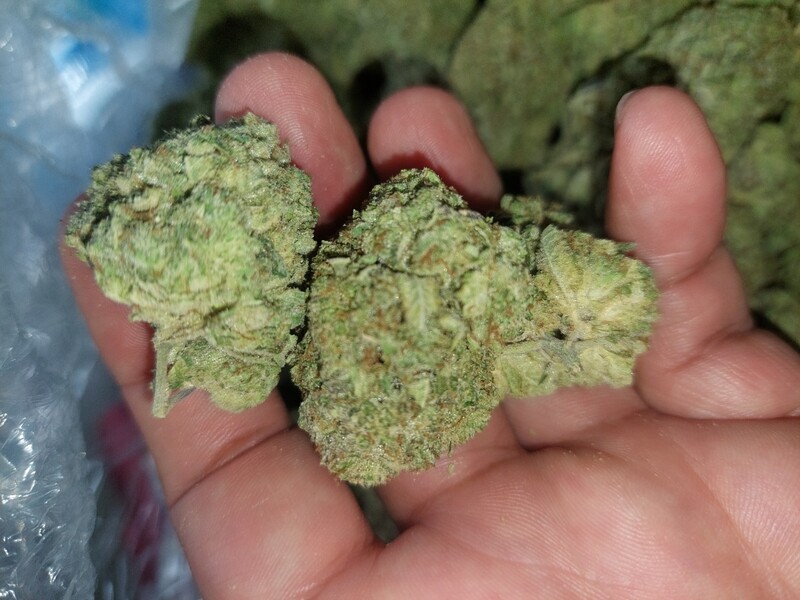 Gg4 8th 