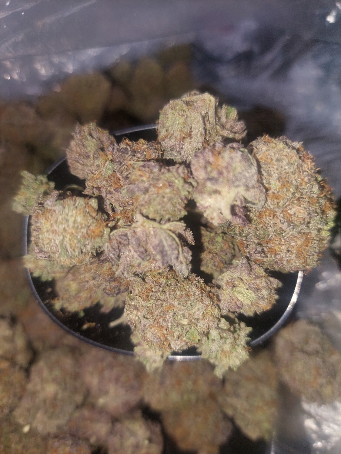 Grape ape  8th 