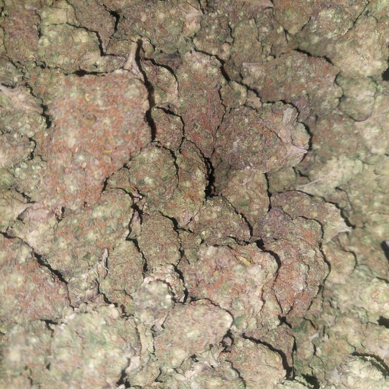 Dirty Sprite (sativa)