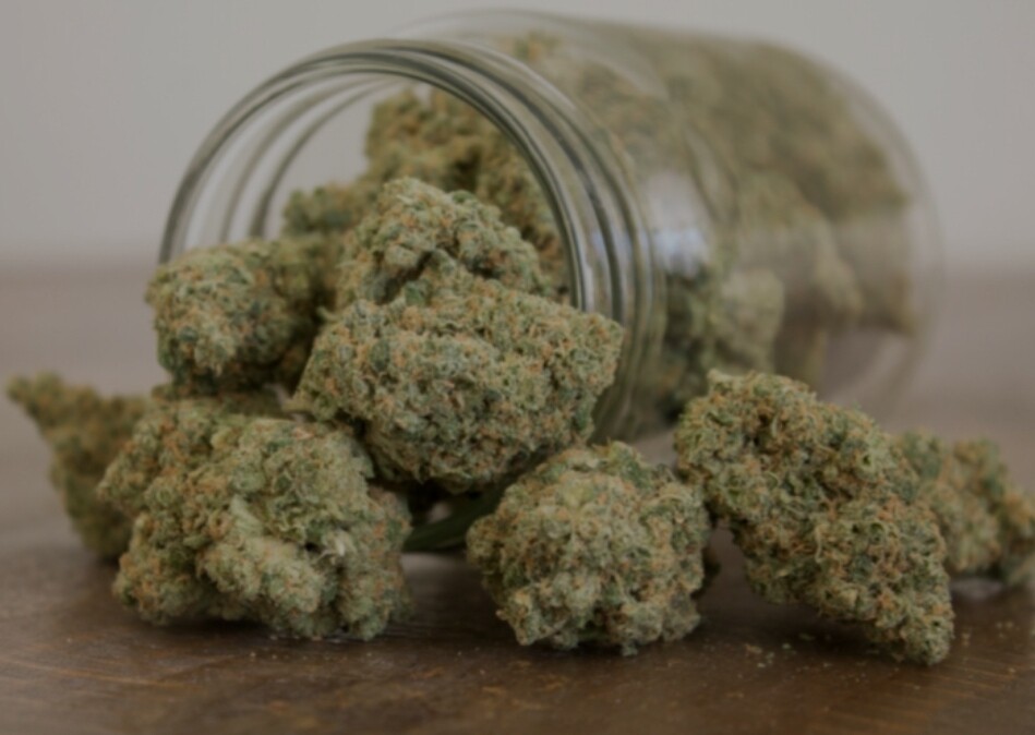 MOTOR BREATH KUSH  8th