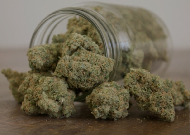 MOTOR BREATH KUSH  8th