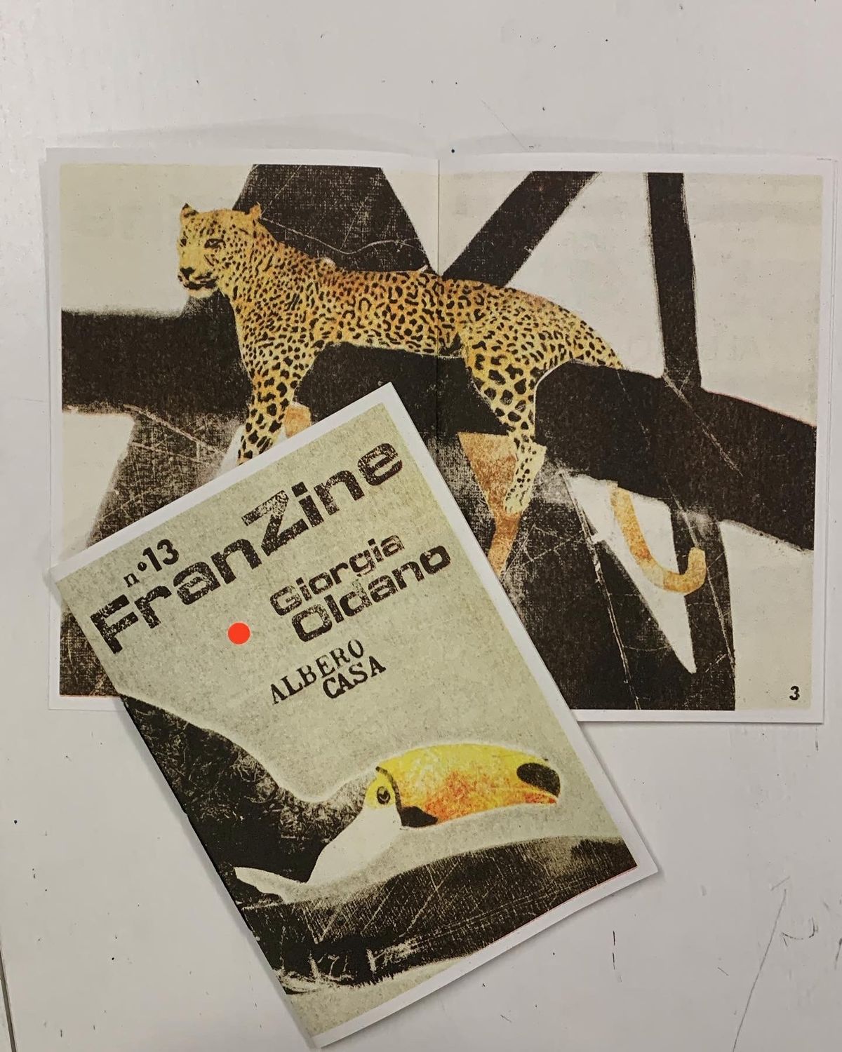 FranZine n° 13 Albero Casa