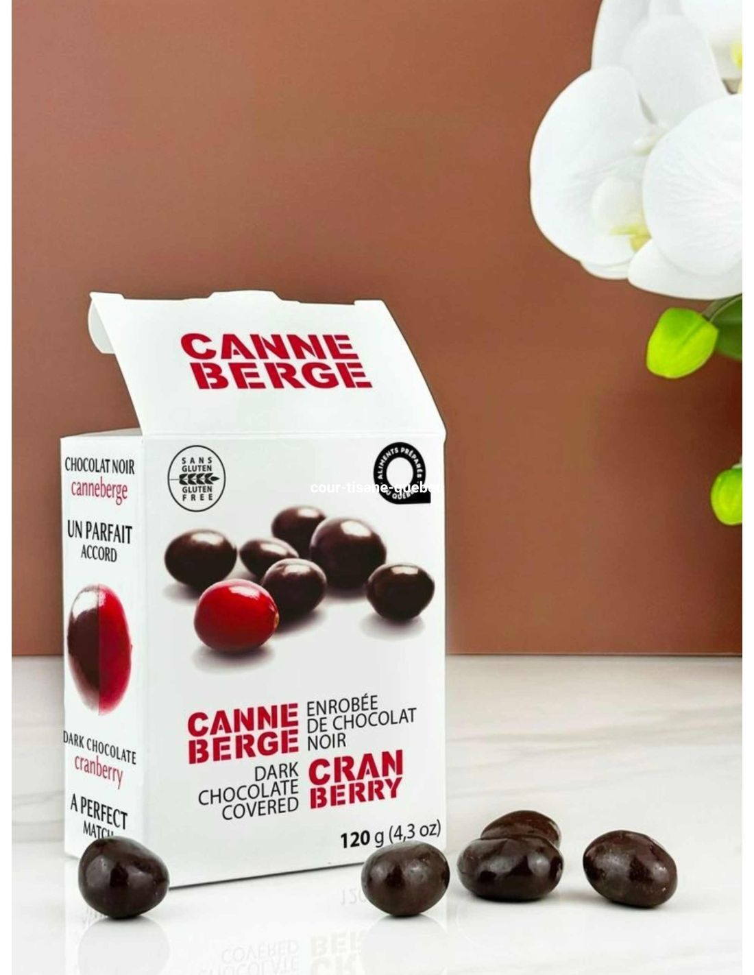 CANNEBERGE CHOCOLAT NOIR 120grs