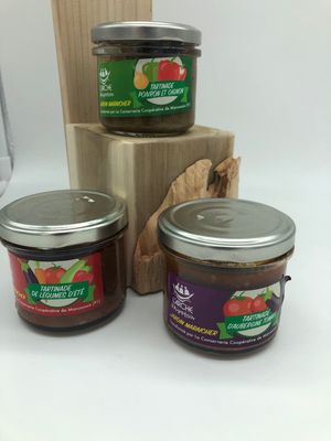 LOT DE 3 TARTINADES