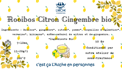 Roiboos citron gingembre bio