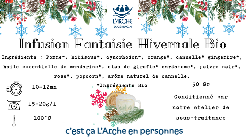 Infusion fantaisie hivernale bio