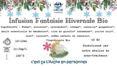 Infusion fantaisie hivernale bio