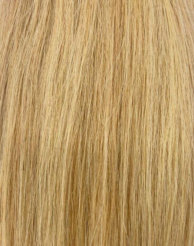 WEFT  #27/613