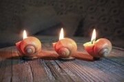 SNAILY CANDLE