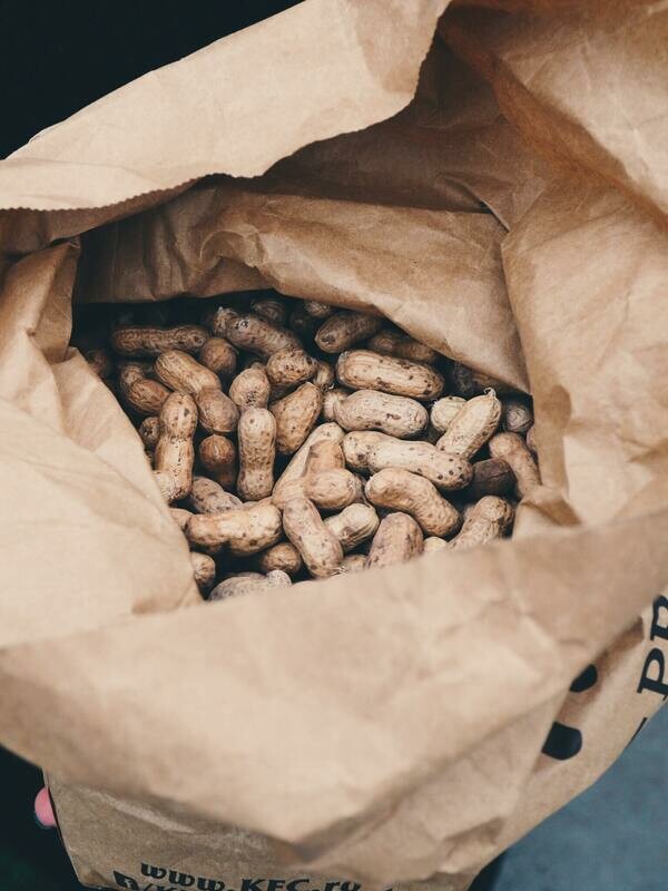 Groundnut (Peanuts)