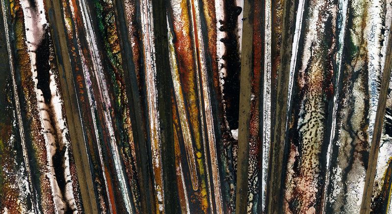 Grass Tree-Xanthorrhoea species-Majestic / Artwork