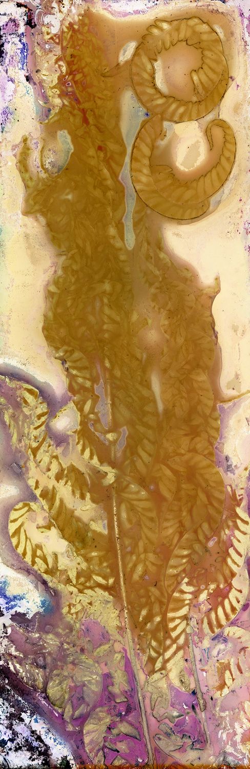 Rough Tree Fern (Cyathea Australis) Sting Remedy / Artwork