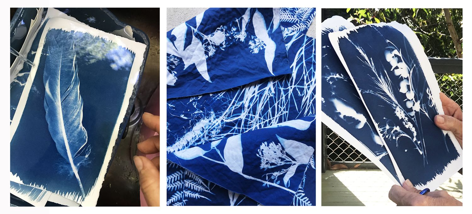 Discover the World of Cyanotype - The Gap, Qld, 30 Aug