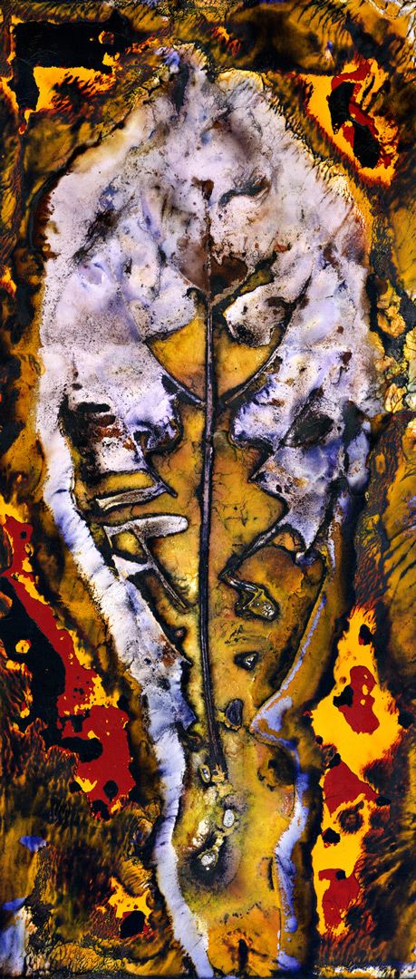 Yellow Carabeen (Sloanea woollsii) / Artwork / textile
