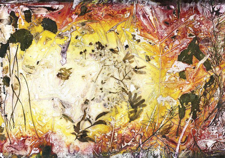 Food and Inspiration, Wendy (Samford) / Artwork