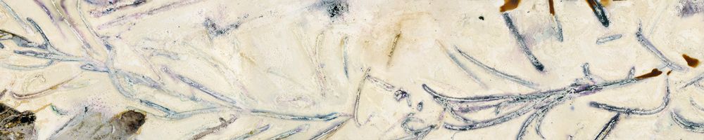 Morning Frost / Artwork