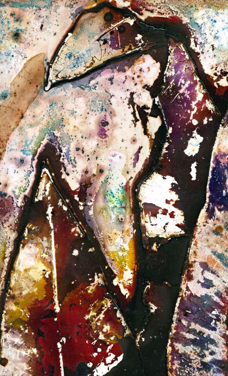 Eucalyptus tereticornis ... repelant ... / Artwork Eucalyptus tereticornis ... repelant ... / Artwork