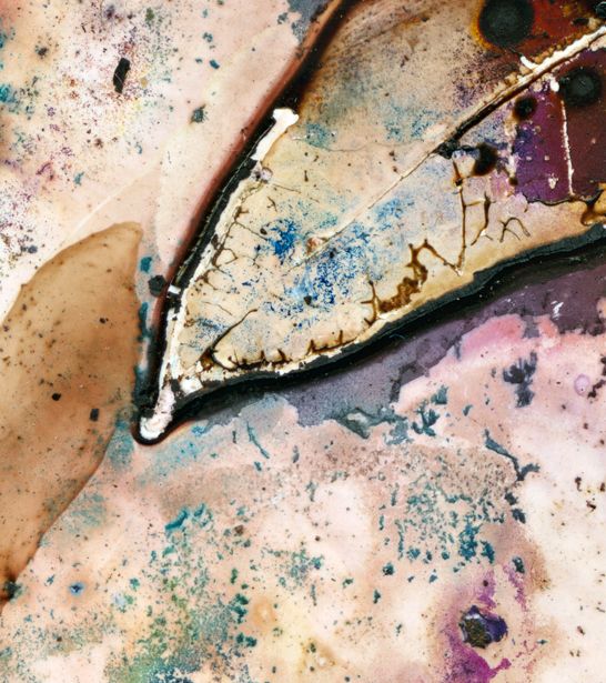 Eucalyptus tereticornis ... repelant ... / Artwork
