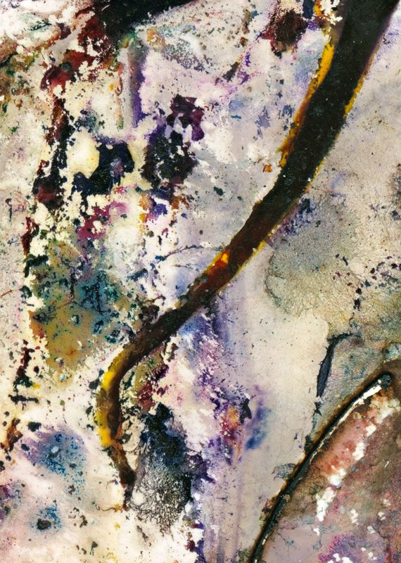 Eucalyptus tereticornis ... therapeutic ... / Artwork
