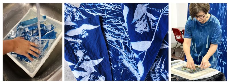 Discover Cyanotype: Botanical Blueprints - 27 Oct Point Lookout