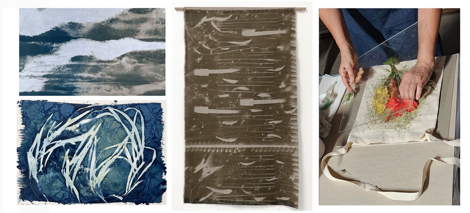 Advanced Cyanotype Workshop - 16 May, The Gap, Qld