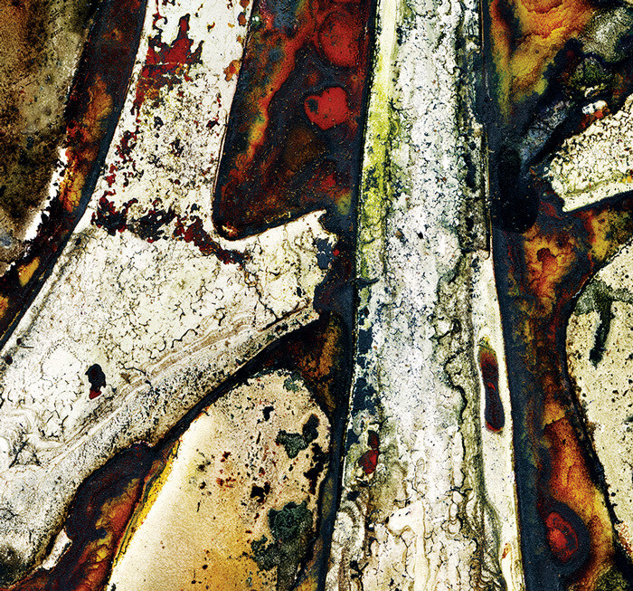 Staghorn fern (Platycerium superbum) Forest / Artwork / Textile