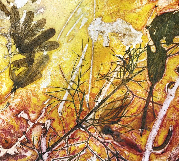 Food and Inspiration, Wendy (Samford) / Artwork