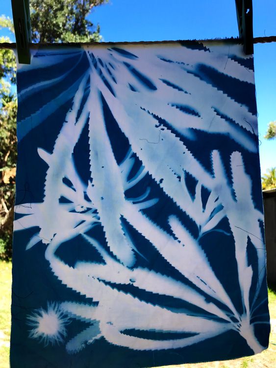 Discover the World of Cyanotype - The Gap, Qld