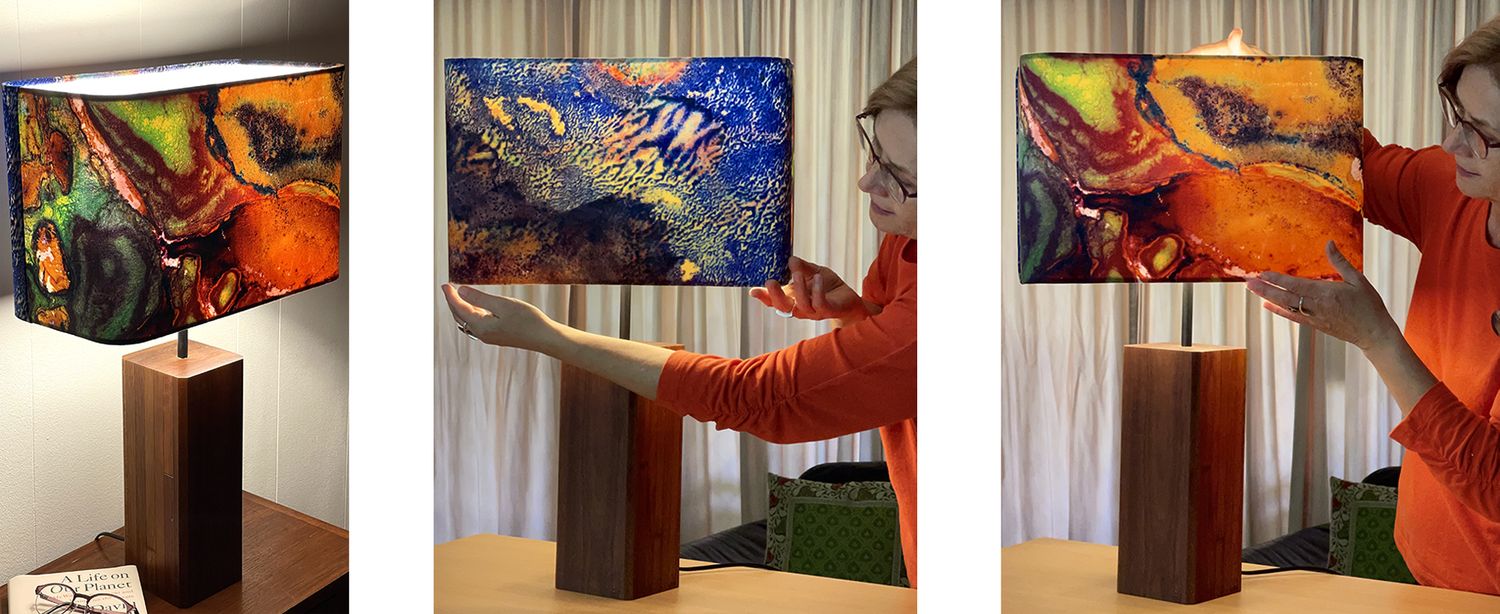 SOLD Rainforest to the Sea - Illuminant