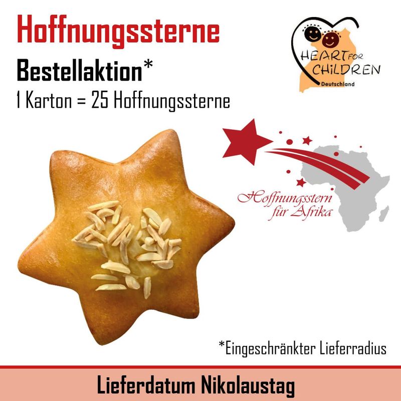 25 Hoffnungssterne (Lieferdatum 06.12.2024)*