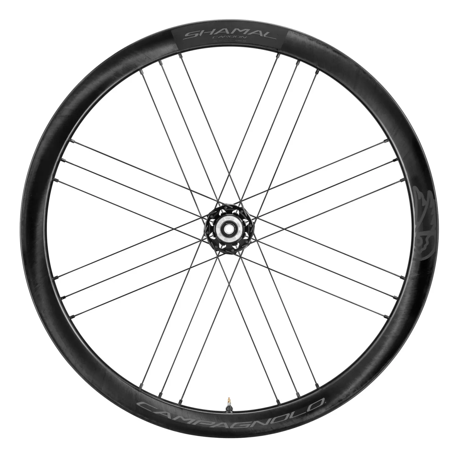 Paire de roues SHAMAL Carbon Disc