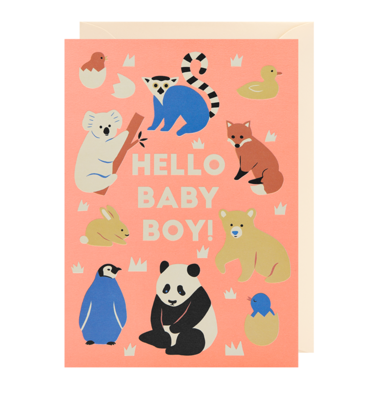 Hello Baby Boy Card