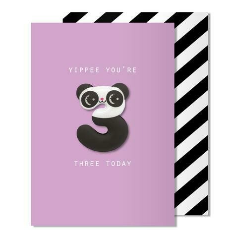 3rd Birthday Panda Magnet Card